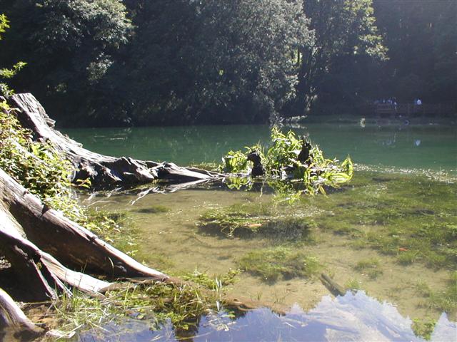 The Two Sisters pond